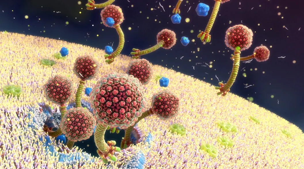 
                                                                                            Bakteriyel Enfeksiyonlar: Görünmez Tehdit ve Savunma Mekanizmaları
                                            