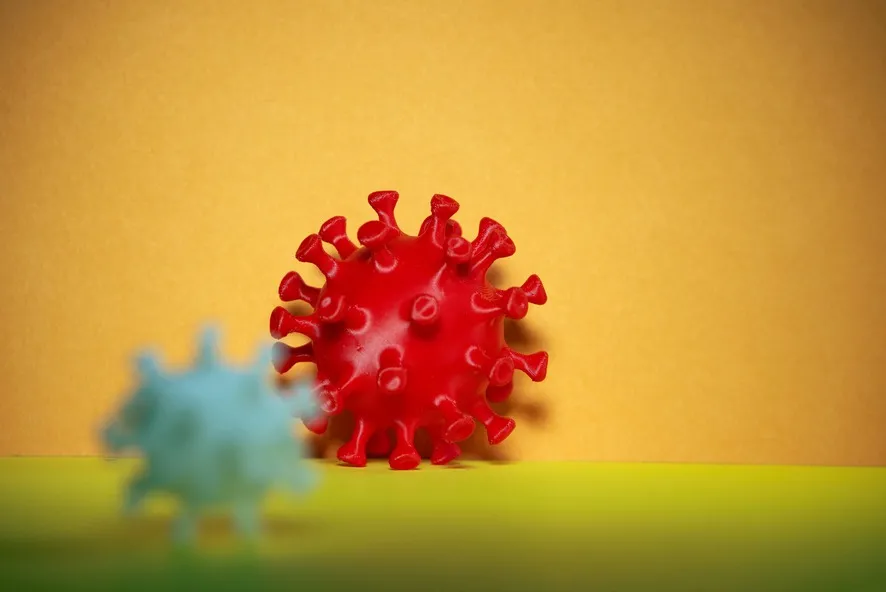 
                                                                                            H5N1 Virüsü: Kuşlardan İnsanlara Uzanan Tehdit
                                            